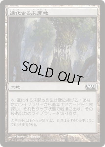 画像1: 進化する未開地/Evolving Wilds (M13)《Foil》 (1)