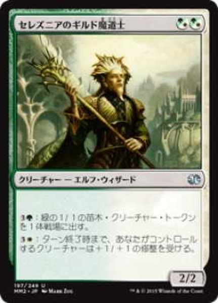 画像1: セレズニアのギルド魔道士/Selesnya Guildmage (MM2)《Foil》 (1)