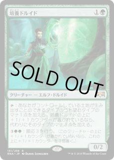 Foil - ジョニーのお店 Magic the Gathering