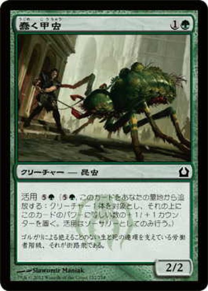 画像1: 蠢く甲虫/Drudge Beetle (RTR)《Foil》 (1)