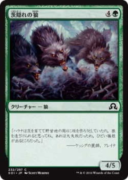 画像1: 茨隠れの狼/Thornhide Wolves (SOI)《Foil》 (1)