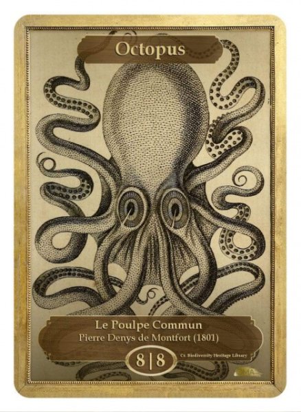 画像1: タコ/Octopus (CLASSIC ART TOKEN CLASSIC) (1)