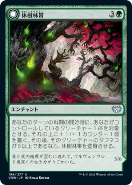 画像1: 休樹林帯/Dormant Grove (VOW)《Foil》 (1)