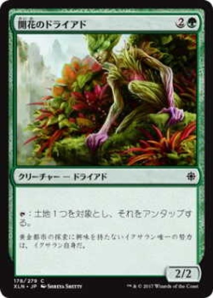 画像1: 開花のドライアド/Blossom Dryad (XLN)《Foil》 (1)