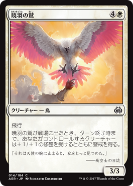 暁羽の鷲 Dawnfeather Eagle Aer ジョニーのお店 Magic The Gathering